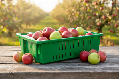 20 x 13 x 5.6" (4.5 Gallon) Agricultural Vented Crate Handled Storage Container Tote