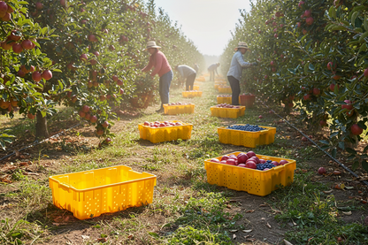 Hudson Exchange 24 x 16 x 7.3" (7.5 Gallon) Agricultural Vented Crate Handled Storage Container Tote